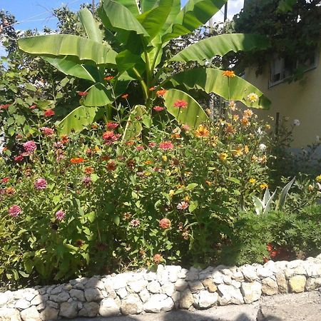 Guesthouse On Kabardinskaya 139A Gagra Exteriér fotografie