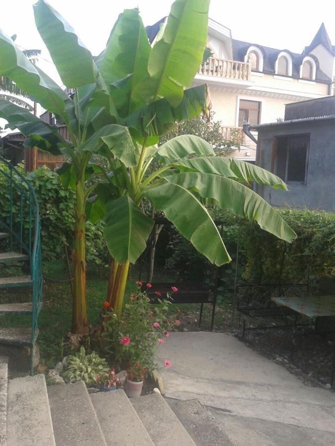 Guesthouse On Kabardinskaya 139A Gagra Exteriér fotografie