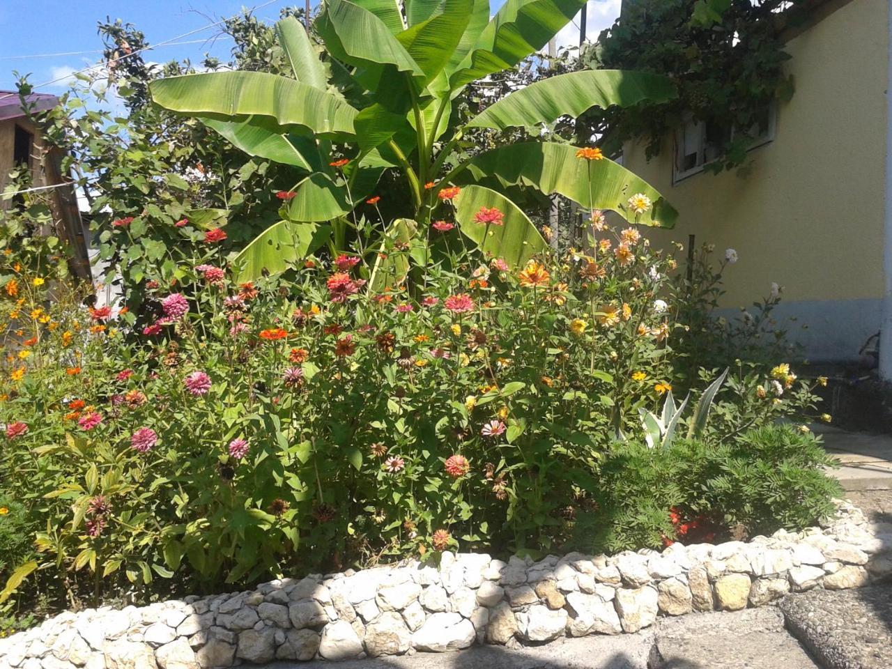 Guesthouse On Kabardinskaya 139A Gagra Exteriér fotografie